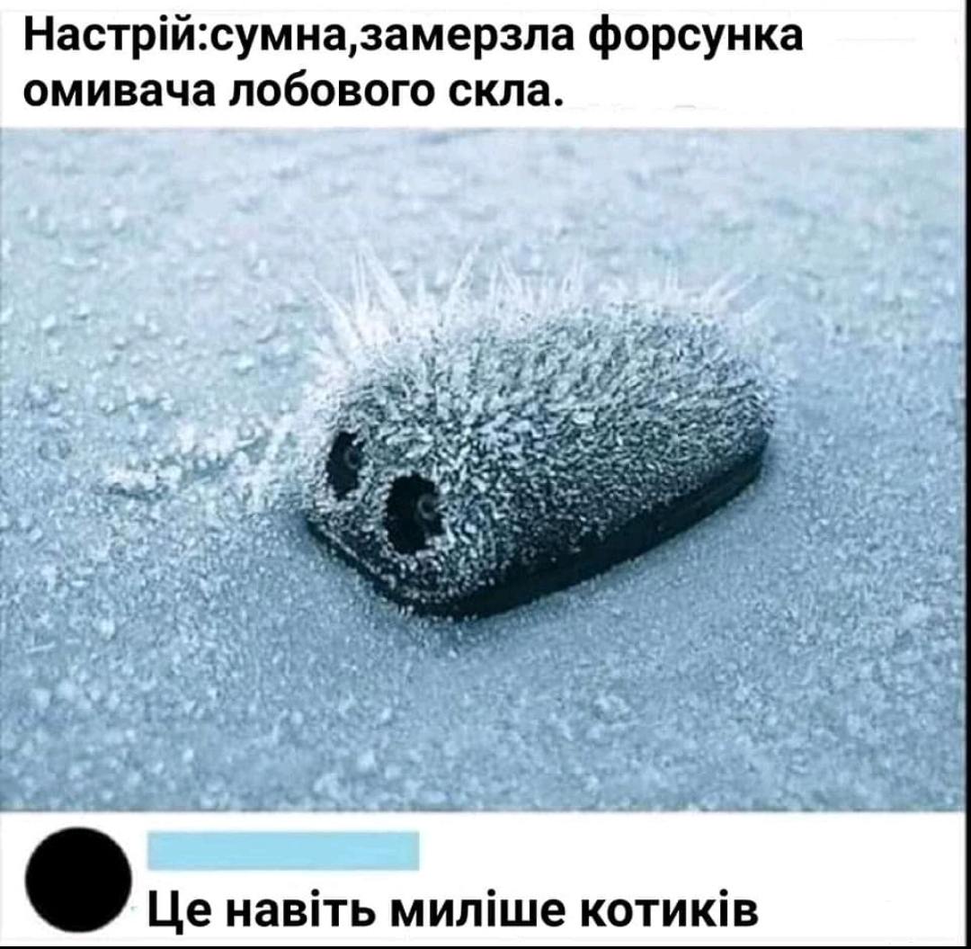 142832 - Супер прикол! № 2