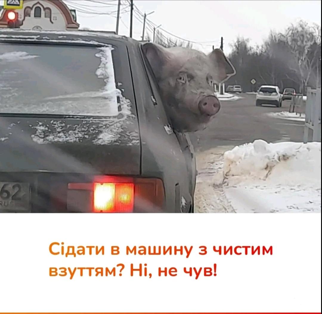 142876 - А в России чудеса! № 2