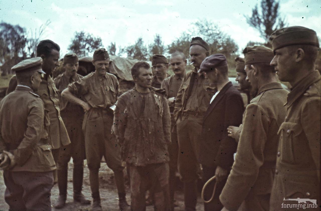142990 - Военное фото 1941-1945 г.г. Восточный фронт.