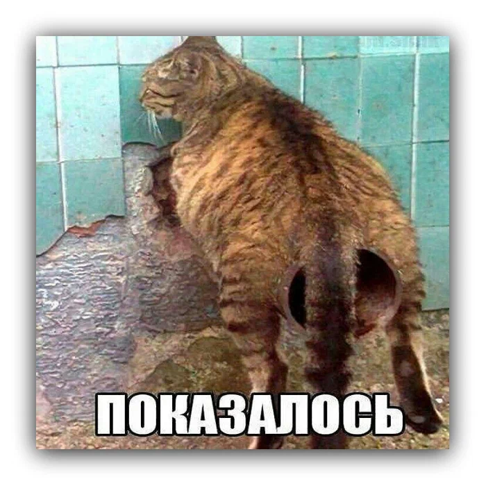 143150 - Супер прикол! № 2