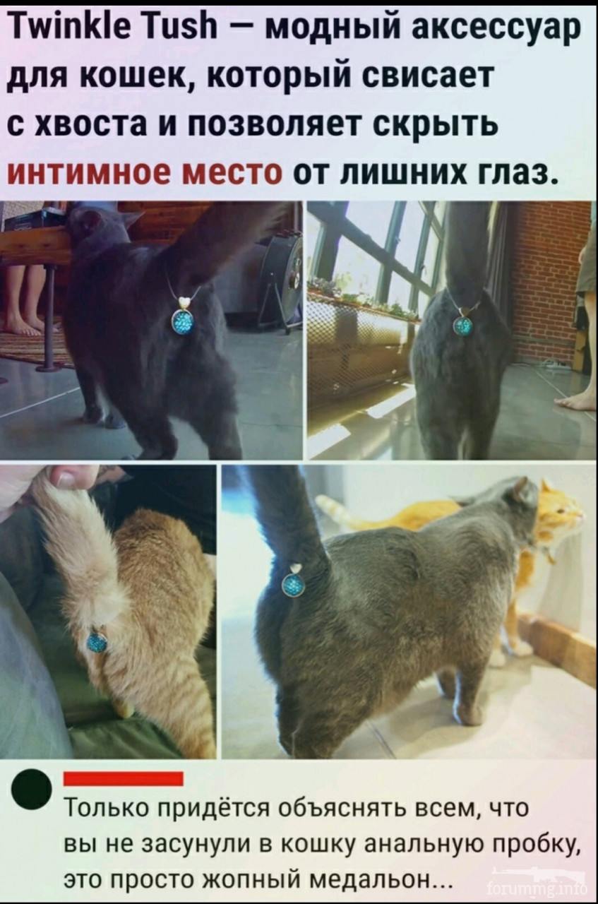 143152 - Супер прикол! № 2