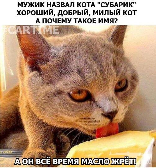 194788