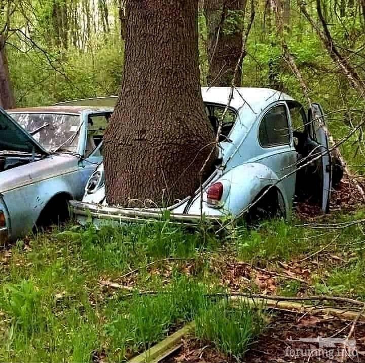 195637