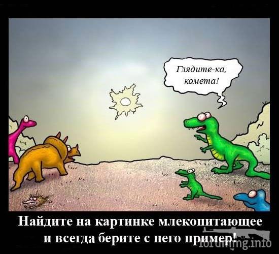 144995 - Супер прикол! № 2