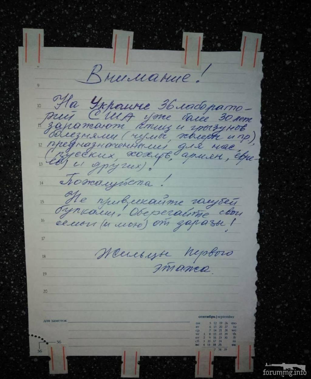 146199 - А в России чудеса! № 2