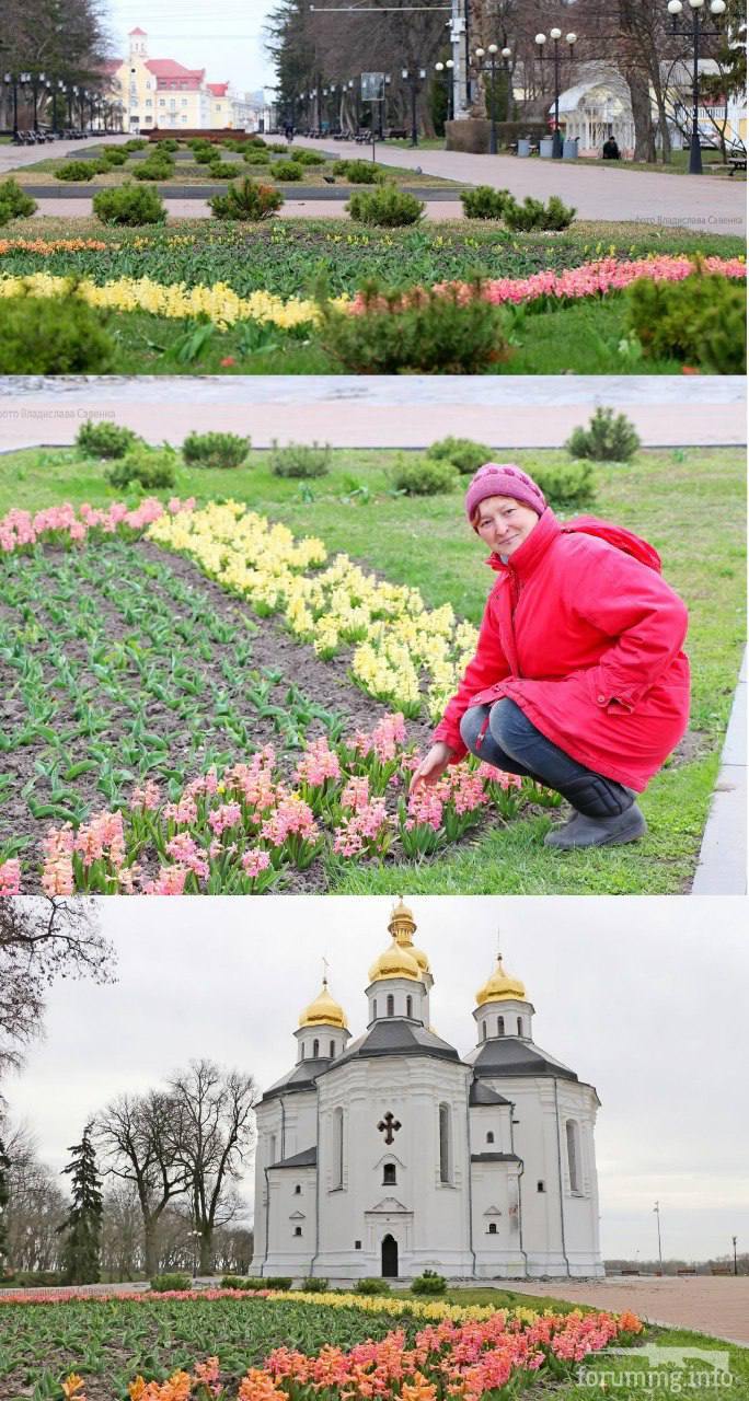146445 - Росcия vs Украина и НАТО - блеф или скоро война?