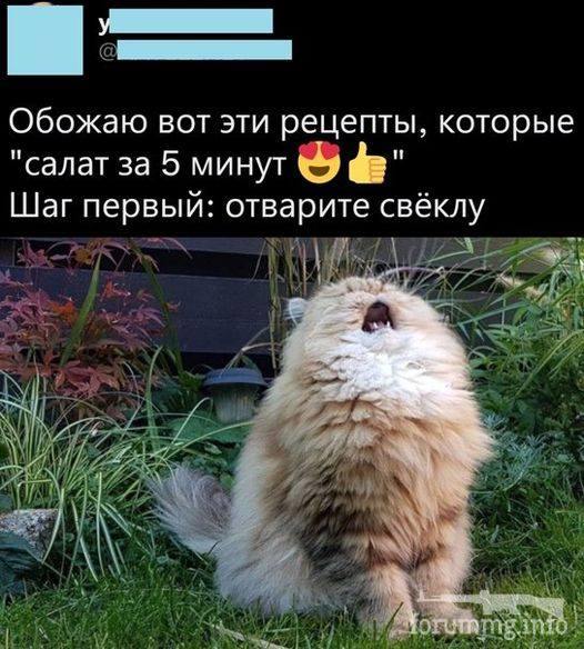147934 - Закуски на огне (мангал, барбекю и т.д.) и кулинария вообще. Советы и рецепты.
