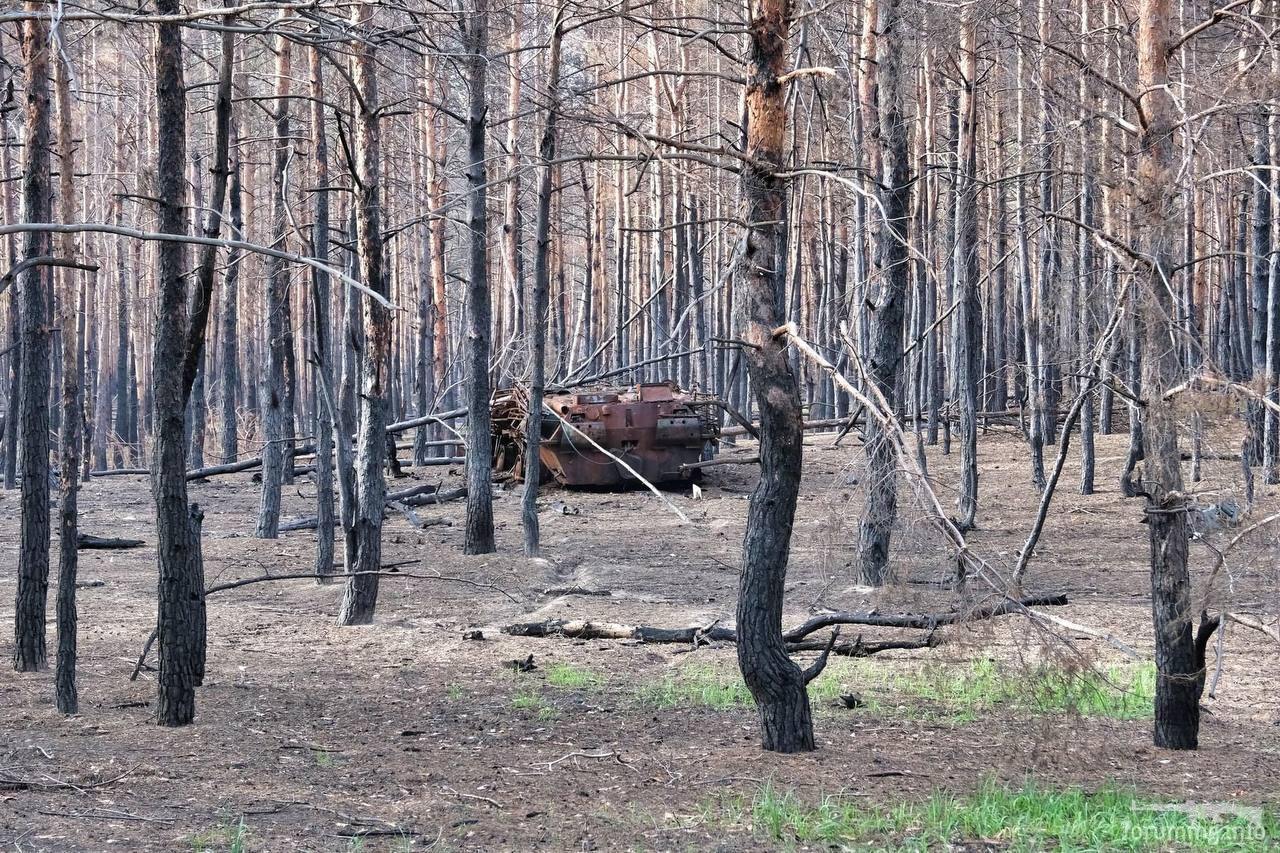 149465 - Росcия vs Украина и НАТО - блеф или скоро война?