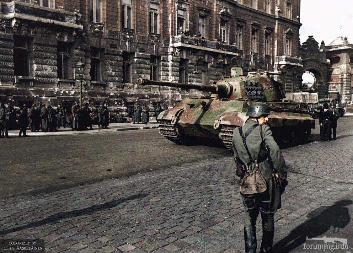 151037 - Военное фото 1941-1945 г.г. Восточный фронт.