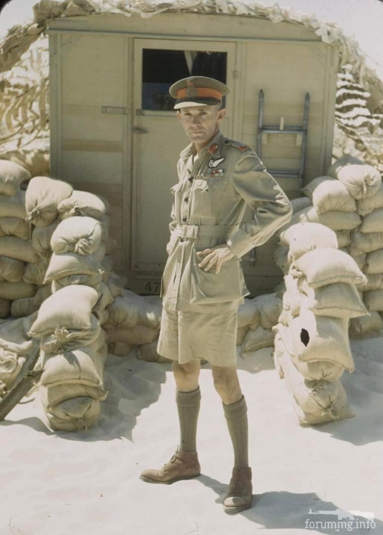 151344 - Военное фото 1939-1945 г.г. Западный фронт и Африка.