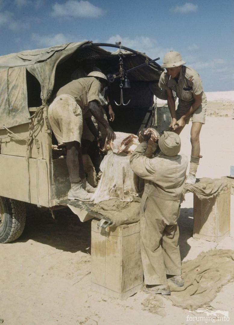 151350 - Военное фото 1939-1945 г.г. Западный фронт и Африка.