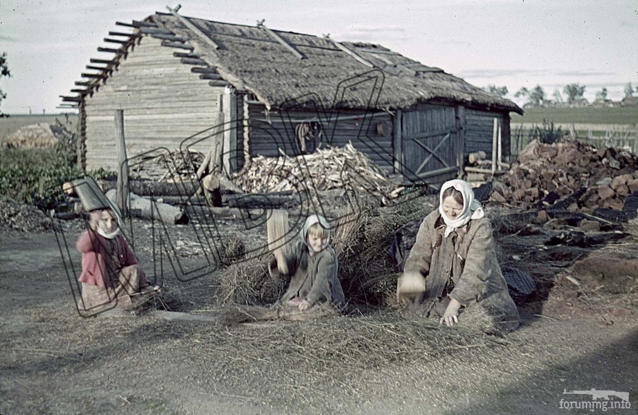 152742 - Лето 1941г,немецкие фото.