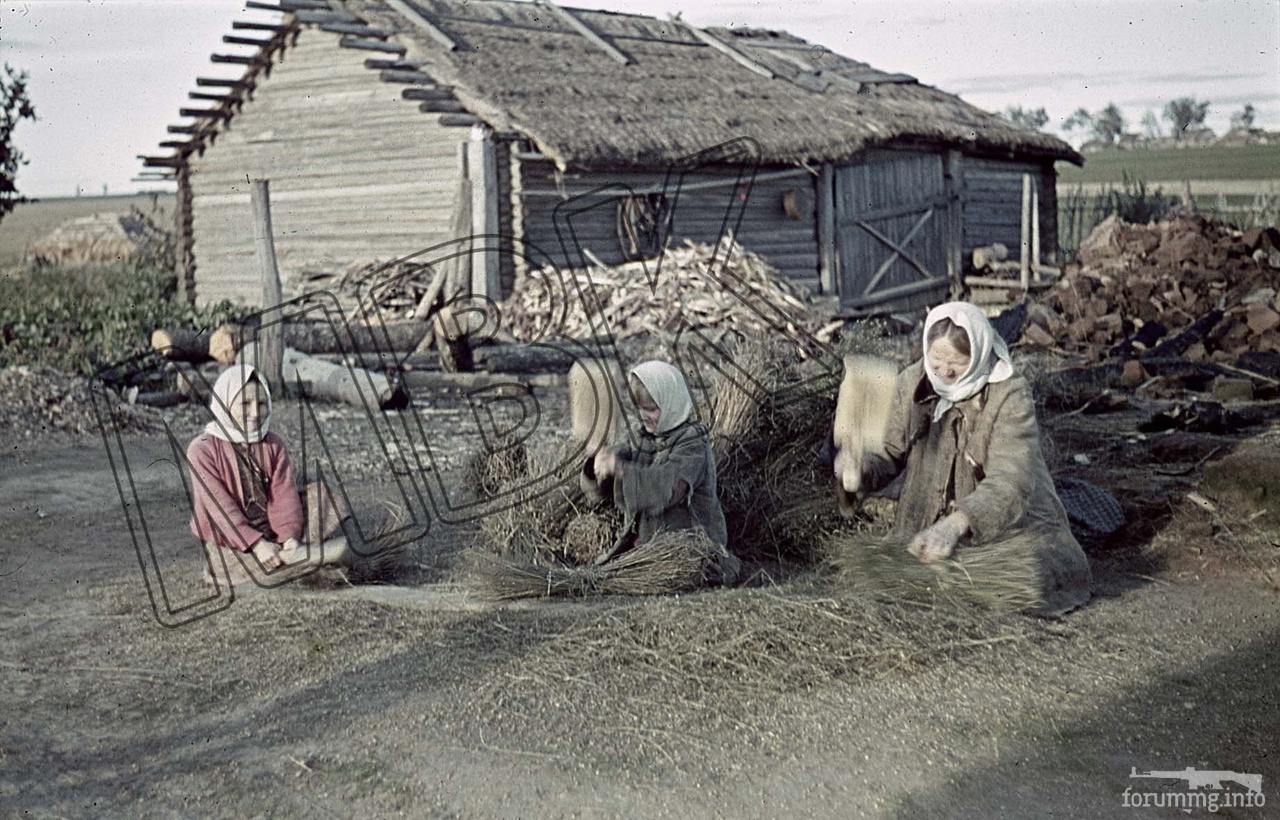 152743 - Лето 1941г,немецкие фото.