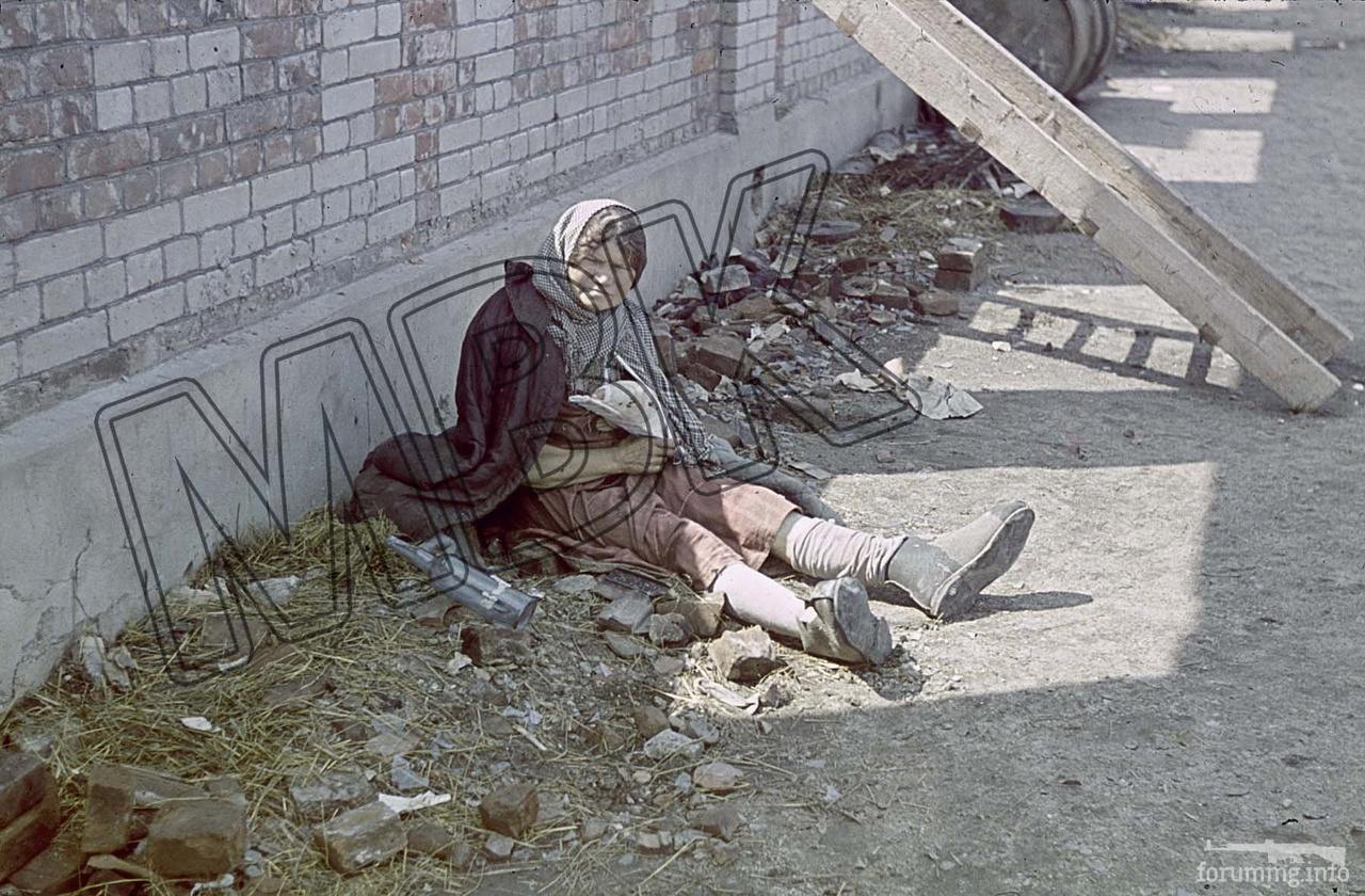 152766 - Лето 1941г,немецкие фото.