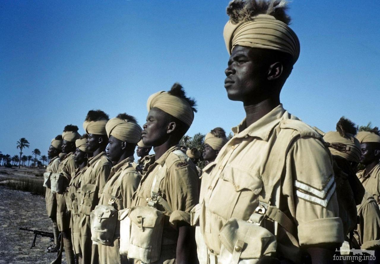 154038 - Военное фото 1939-1945 г.г. Западный фронт и Африка.