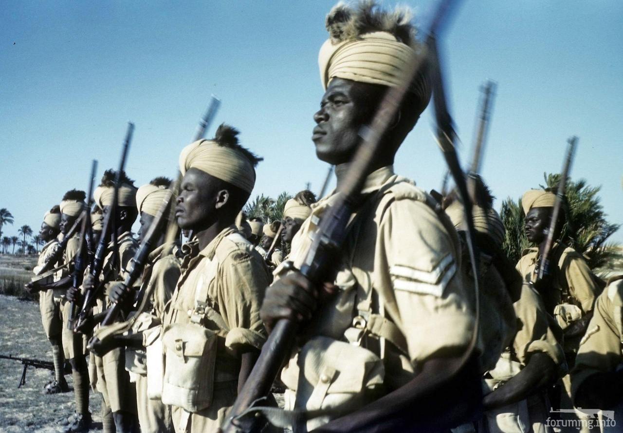 154039 - Военное фото 1939-1945 г.г. Западный фронт и Африка.