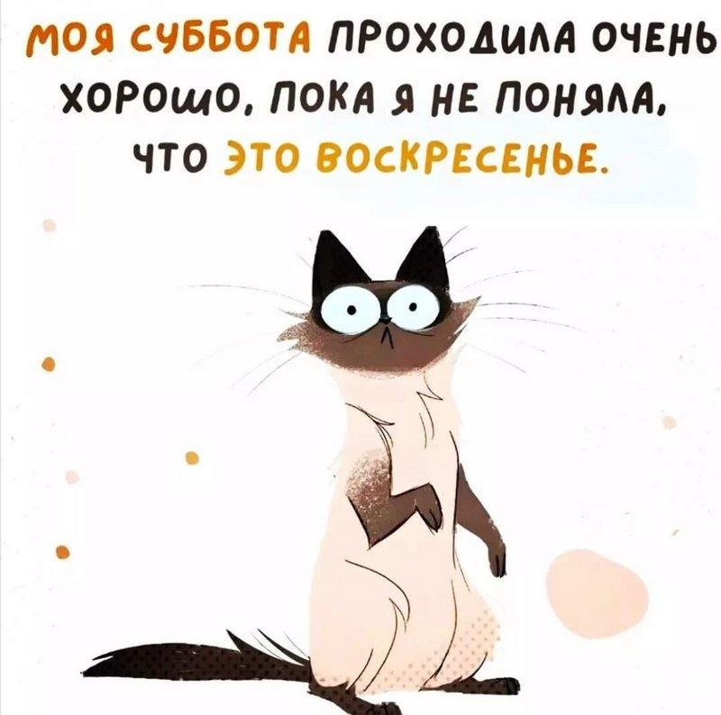 154789 - Супер прикол! № 2