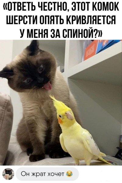 154815 - Супер прикол! № 2