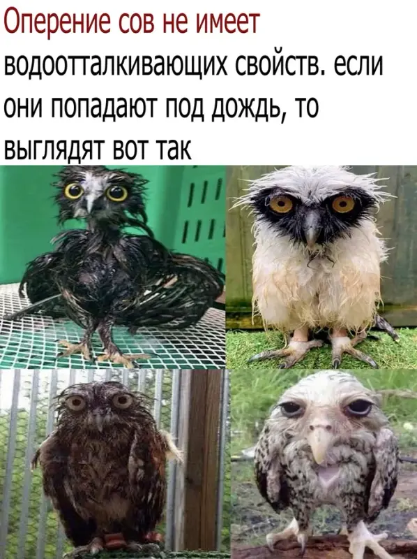 219180
