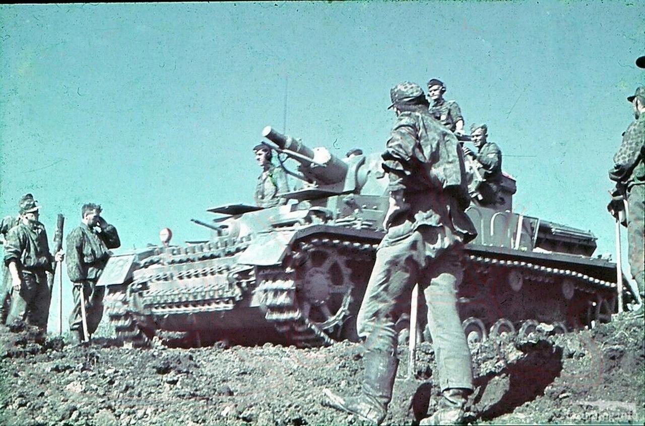 155314 - Военное фото 1941-1945 г.г. Восточный фронт.