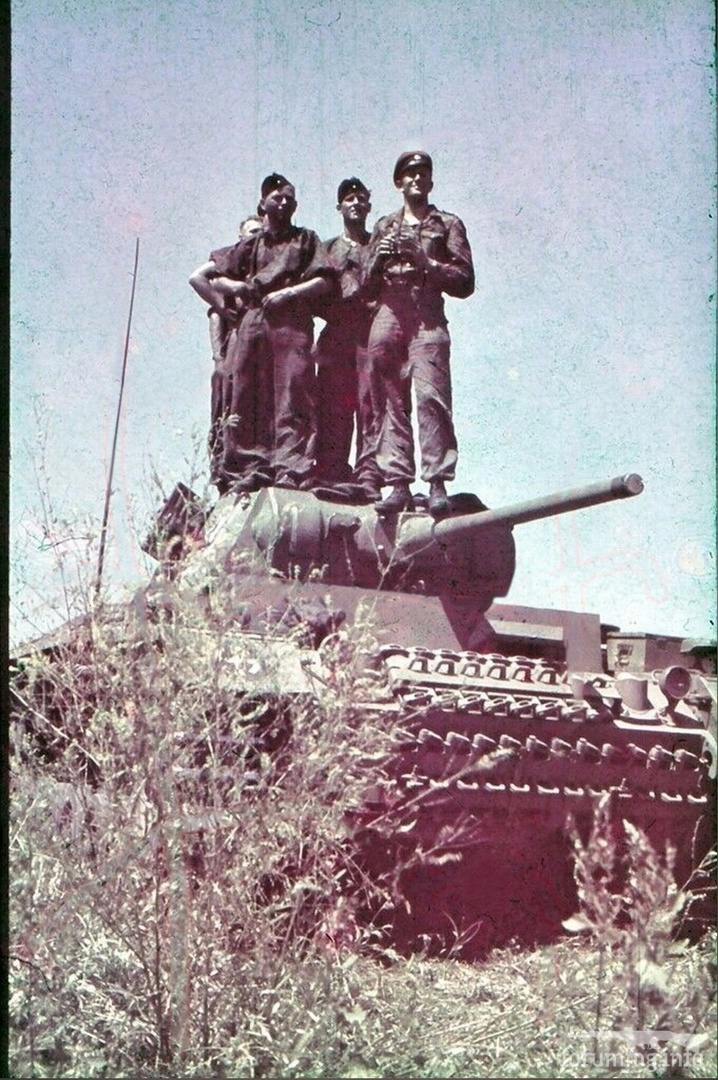 155316 - Военное фото 1941-1945 г.г. Восточный фронт.