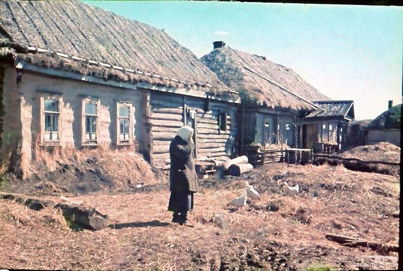 155322 - Военное фото 1941-1945 г.г. Восточный фронт.