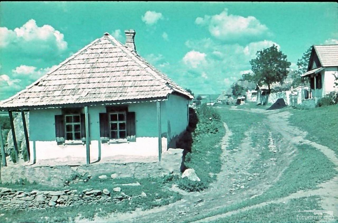 155327 - Военное фото 1941-1945 г.г. Восточный фронт.
