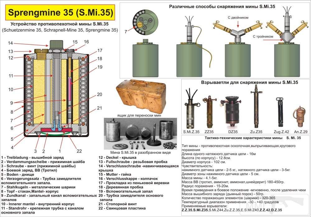 1561 - Шпринг Мина