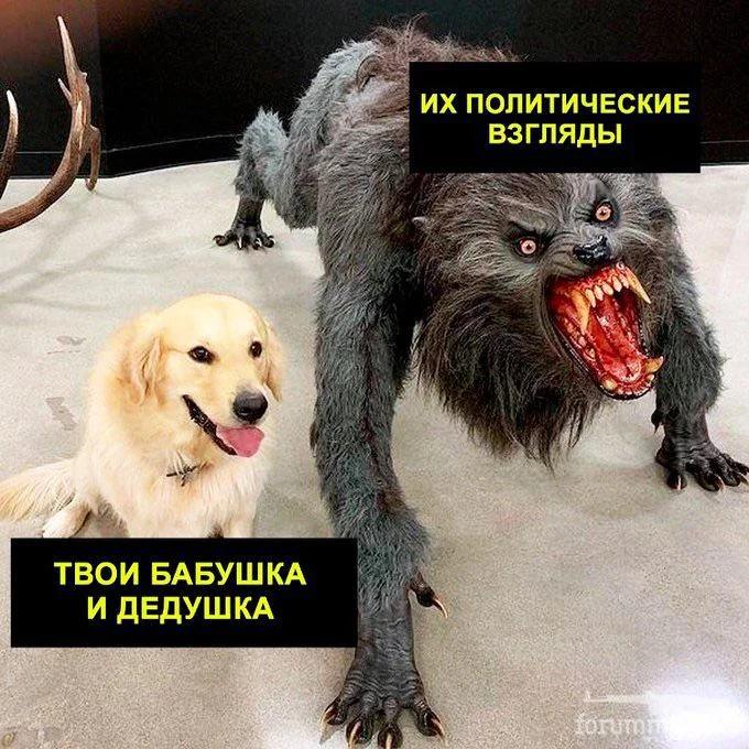 156212 - Политический юмор