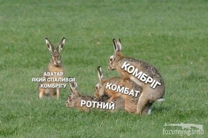 156217 - Политический юмор