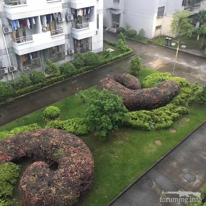 223639