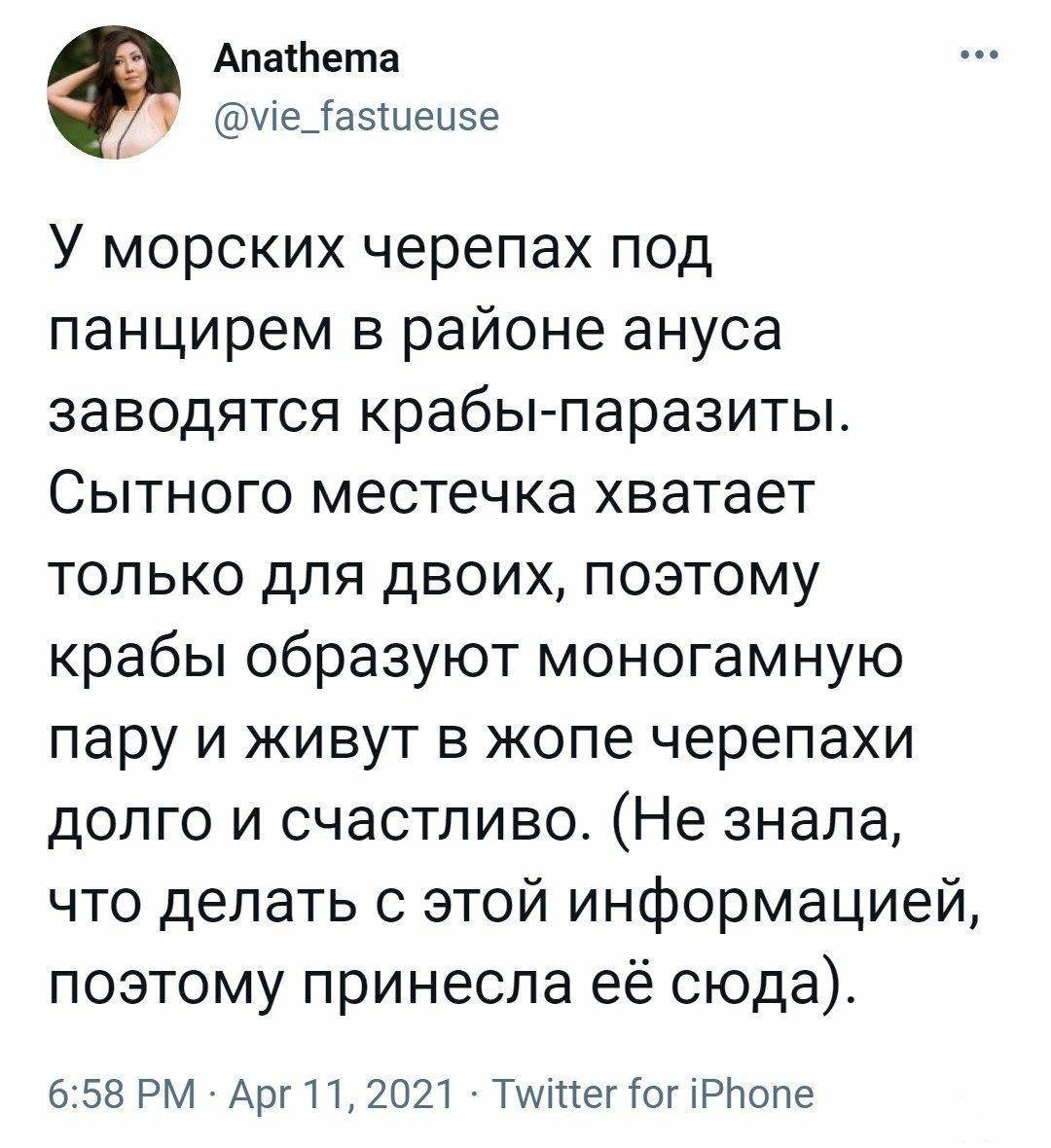 156458 - Неймовірно! Фантастично! Дивовижно! А може і жахливо... Просто те, що вражає