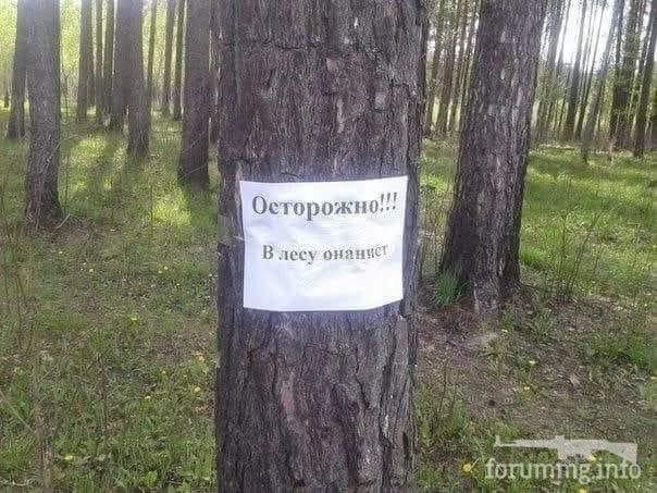 156634 - Супер прикол! № 2