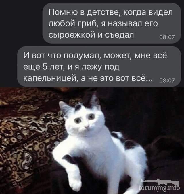 156945 - Супер прикол! № 2