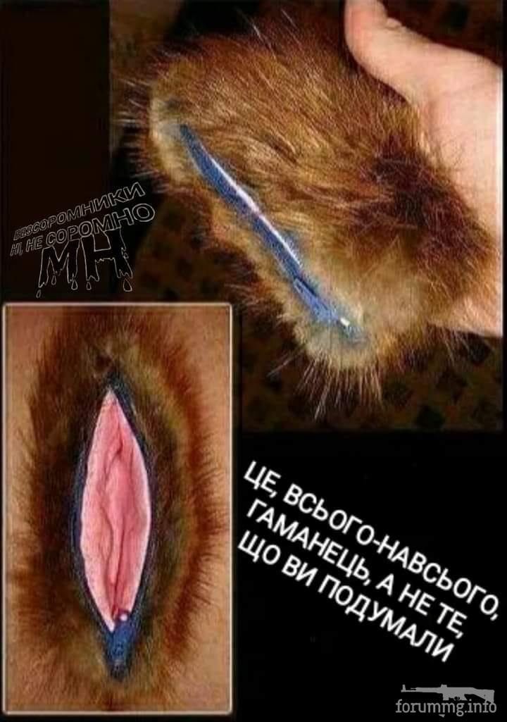 156981 - Супер прикол! № 2