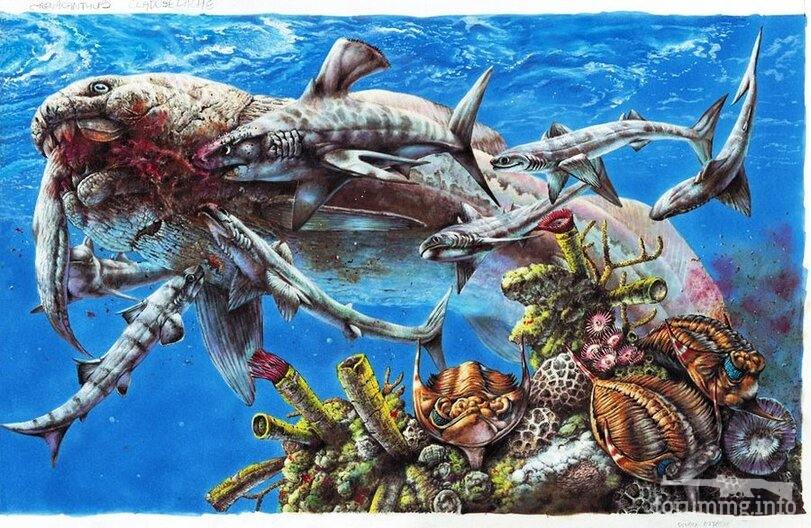 157516 - Динозавры, мамонты и всякие трилобиты - тема о палеонтологии