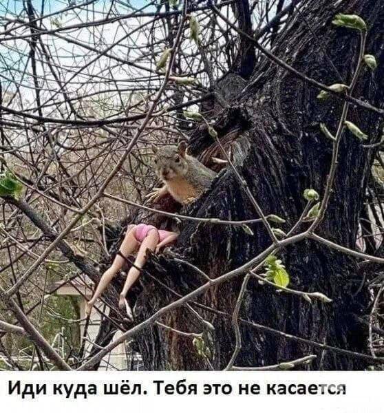 157948 - Супер прикол! № 2