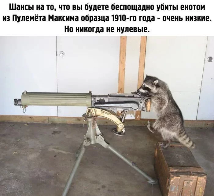 229458