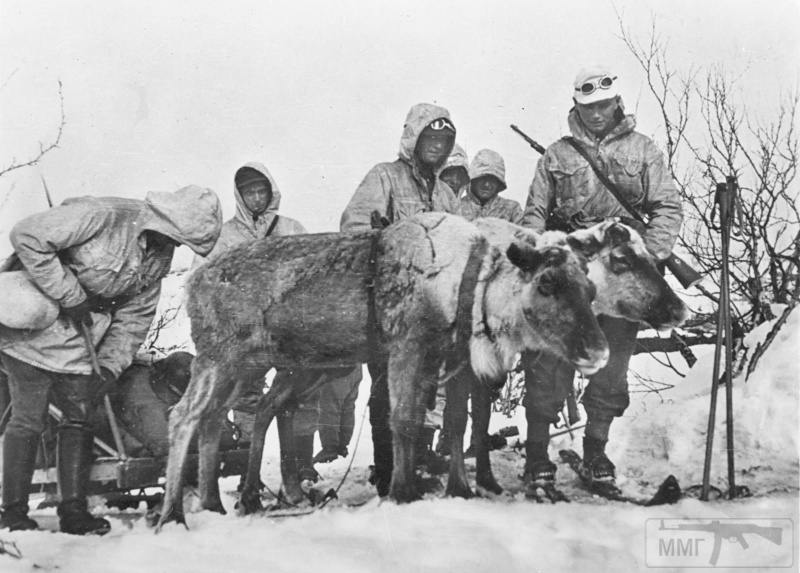 15939 - Военное фото 1941-1945 г.г. Восточный фронт.