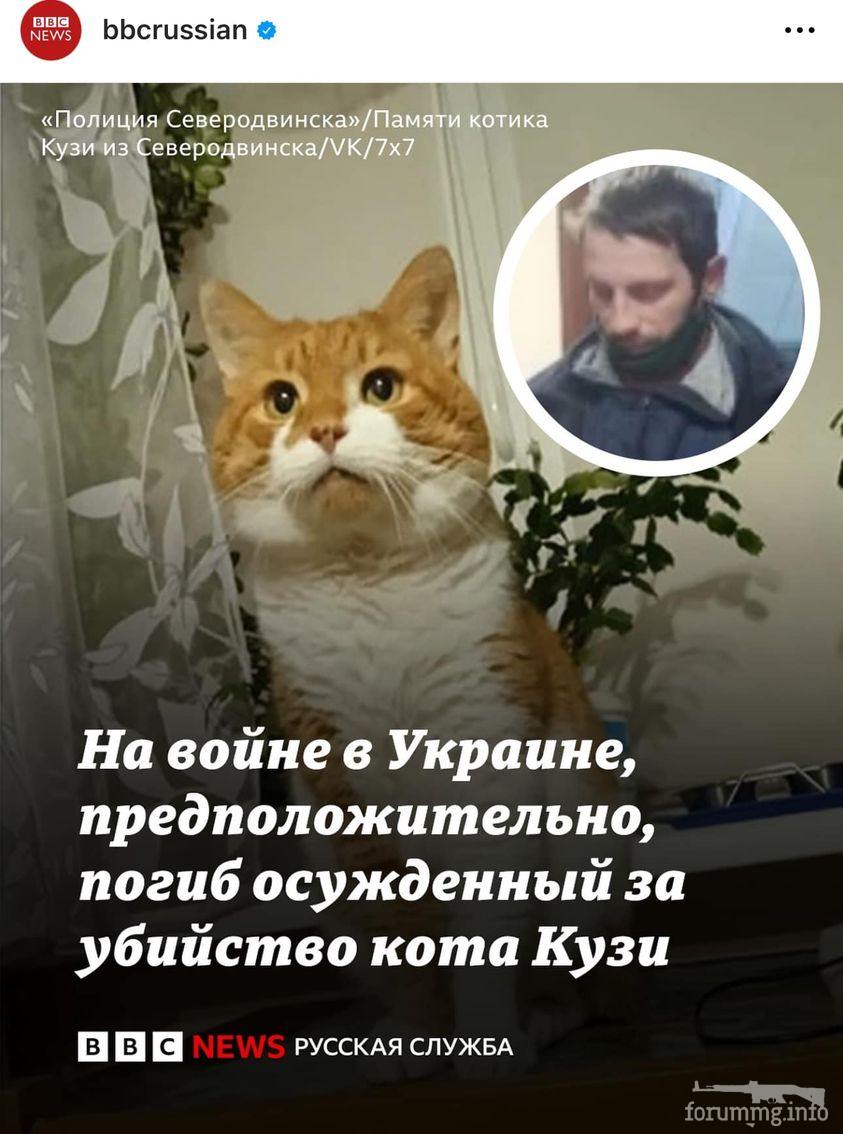 159558 - А в России чудеса! № 2
