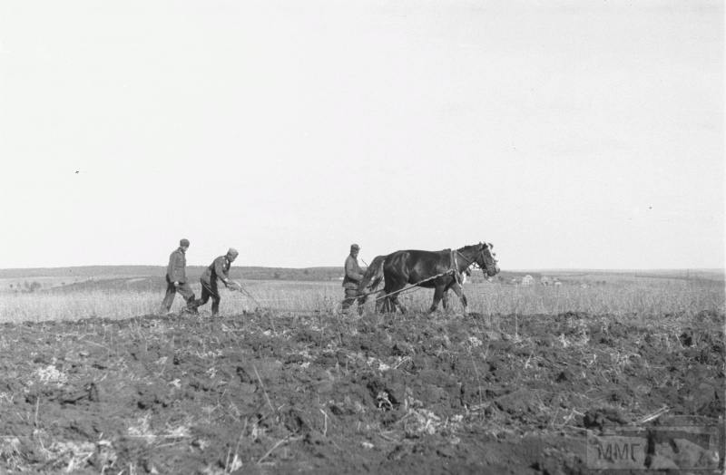 15994 - Военное фото 1941-1945 г.г. Восточный фронт.