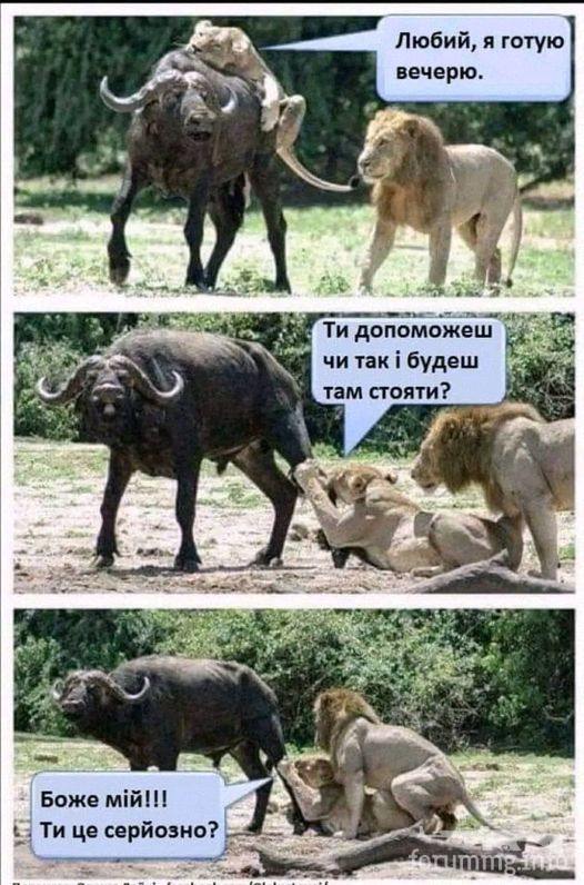 161377 - Супер прикол! № 2