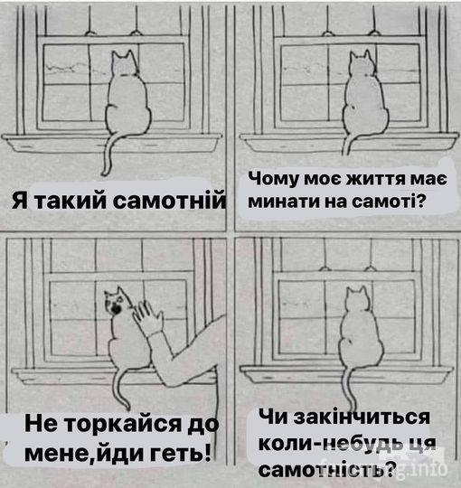 161777 - Смешные видео и фото с животными.