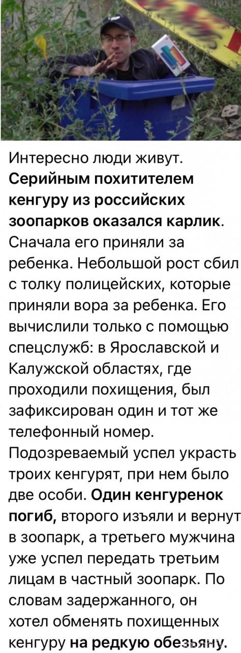 162392 - А в России чудеса! № 2
