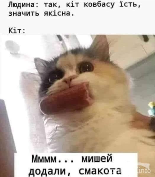 162465 - Адский циник!