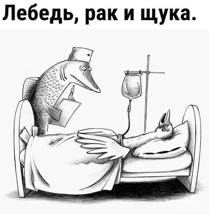 162559 - Адский циник!