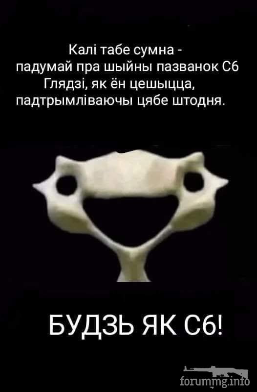 163262 - Адский циник!