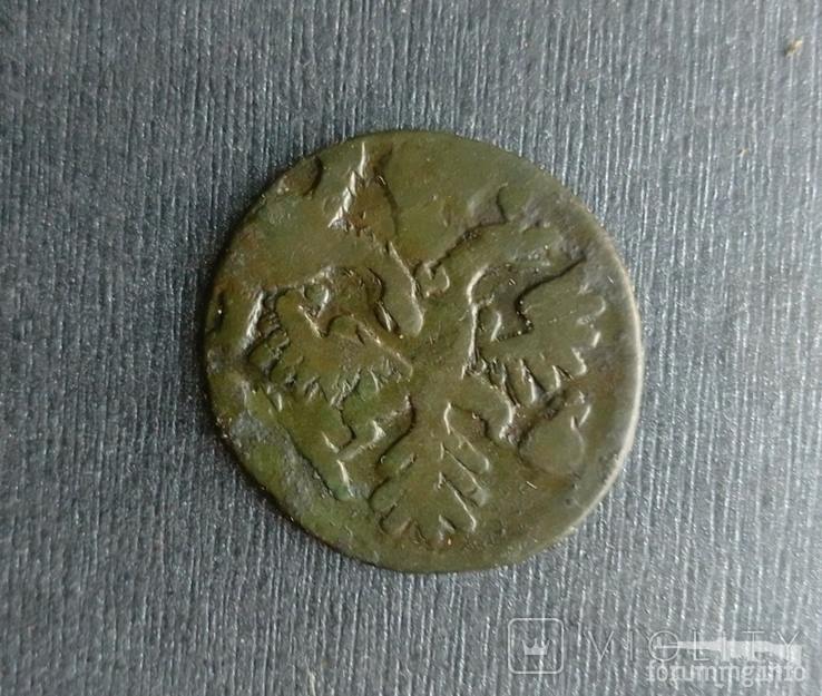 163835 - Интересные проходы деньга-полушка 1730-54 гг. на аукционах.