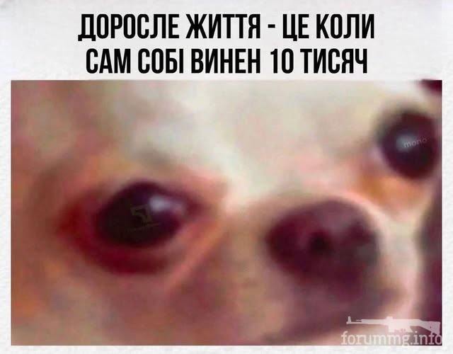 245646