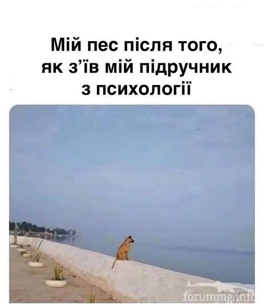 247330
